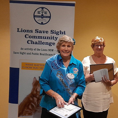 Lions Save Sight